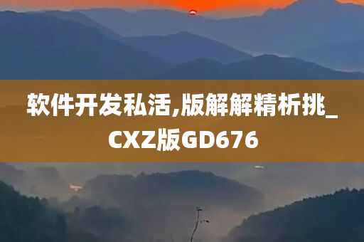 软件开发私活,版解解精析挑_CXZ版GD676