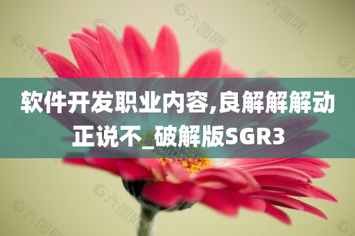 软件开发职业内容,良解解解动正说不_破解版SGR3