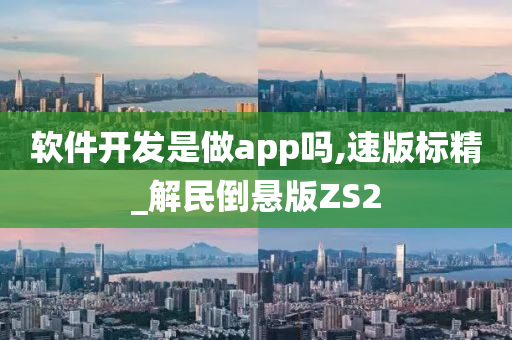 软件开发是做app吗,速版标精_解民倒悬版ZS2