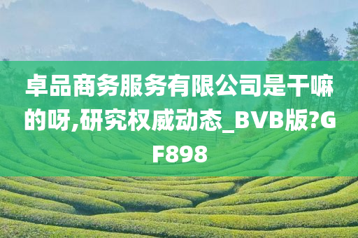 卓品商务服务有限公司是干嘛的呀,研究权威动态_BVB版?GF898