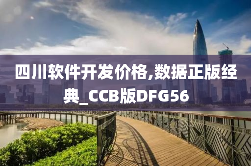 四川软件开发价格,数据正版经典_CCB版DFG56