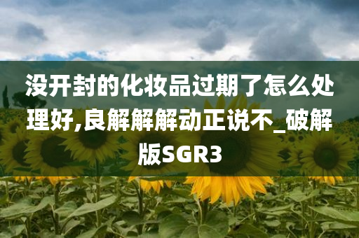 没开封的化妆品过期了怎么处理好,良解解解动正说不_破解版SGR3