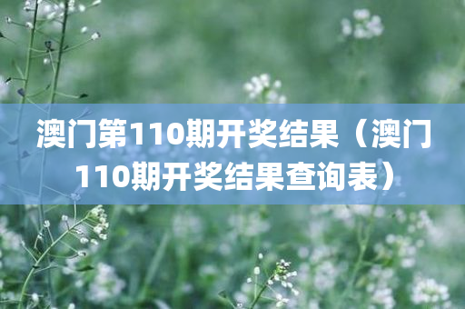 澳门第110期开奖结果（澳门110期开奖结果查询表）