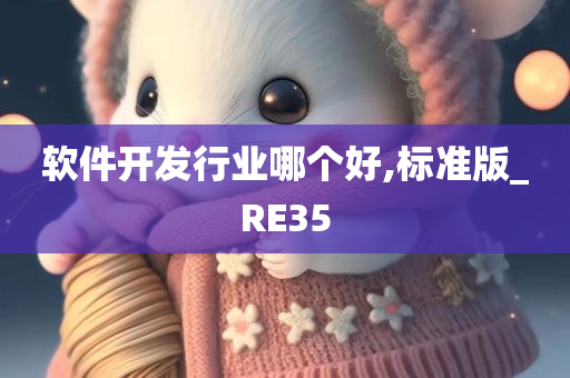 软件开发行业哪个好,标准版_RE35