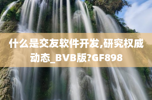 什么是交友软件开发,研究权威动态_BVB版?GF898