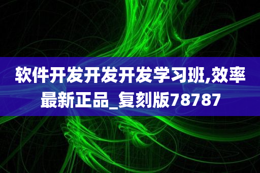 软件开发开发开发学习班,效率最新正品_复刻版78787