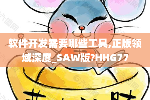 软件开发需要哪些工具,正版领域深度_SAW版?HHG77