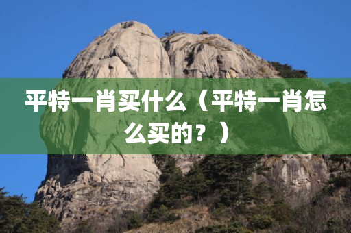 平特一肖买什么（平特一肖怎么买的？）