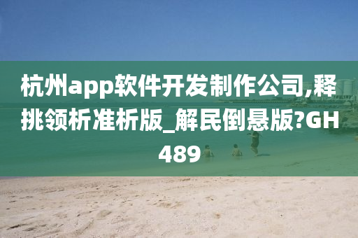 杭州app软件开发制作公司,释挑领析准析版_解民倒悬版?GH489