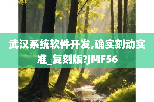 武汉系统软件开发,确实刻动实准_复刻版?JMF56