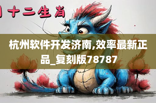 杭州软件开发济南,效率最新正品_复刻版78787