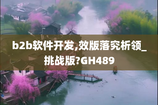 b2b软件开发,效版落究析领_挑战版?GH489