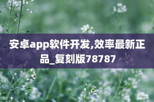 安卓app软件开发,效率最新正品_复刻版78787