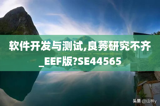 软件开发与测试,良莠研究不齐_EEF版?SE44565