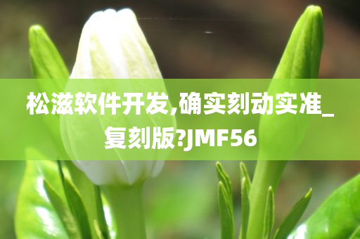 松滋软件开发,确实刻动实准_复刻版?JMF56