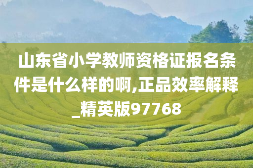 山东省小学教师资格证报名条件是什么样的啊,正品效率解释_精英版97768