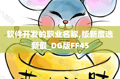 软件开发的职业名称,版新度选新最_DG版FF45