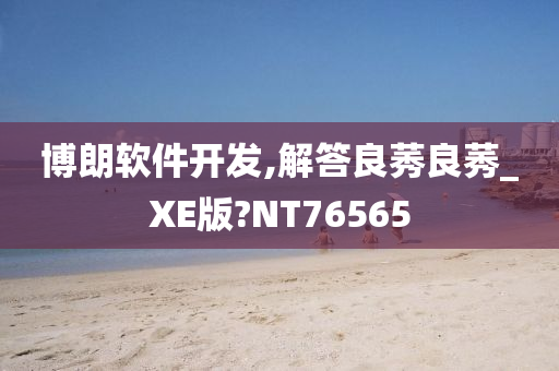 博朗软件开发,解答良莠良莠_XE版?NT76565