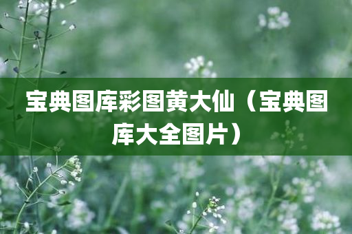 宝典图库彩图黄大仙（宝典图库大全图片）