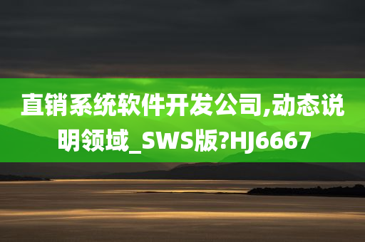 直销系统软件开发公司,动态说明领域_SWS版?HJ6667