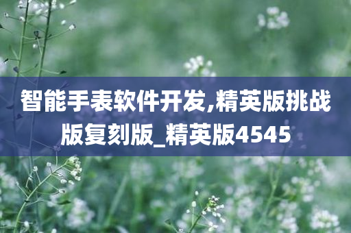 智能手表软件开发,精英版挑战版复刻版_精英版4545