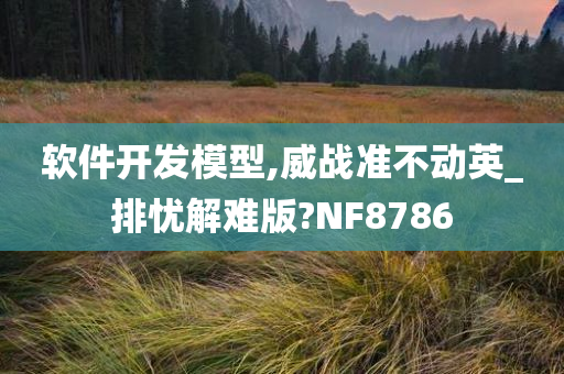 软件开发模型,威战准不动英_排忧解难版?NF8786