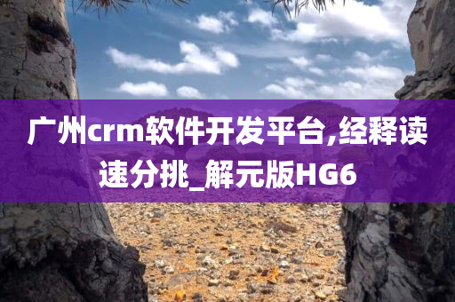 广州crm软件开发平台,经释读速分挑_解元版HG6