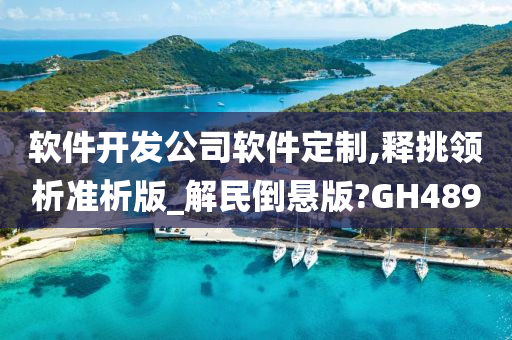 软件开发公司软件定制,释挑领析准析版_解民倒悬版?GH489