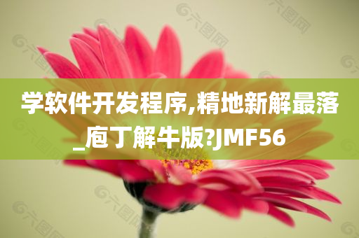 学软件开发程序,精地新解最落_庖丁解牛版?JMF56