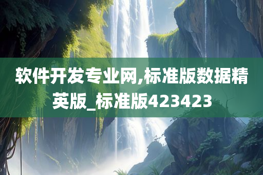 软件开发专业网,标准版数据精英版_标准版423423