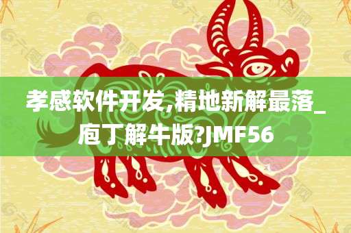 孝感软件开发,精地新解最落_庖丁解牛版?JMF56