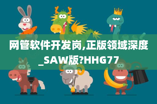 网管软件开发岗,正版领域深度_SAW版?HHG77