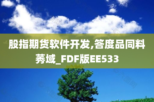 股指期货软件开发,答度品同料莠域_FDF版EE533