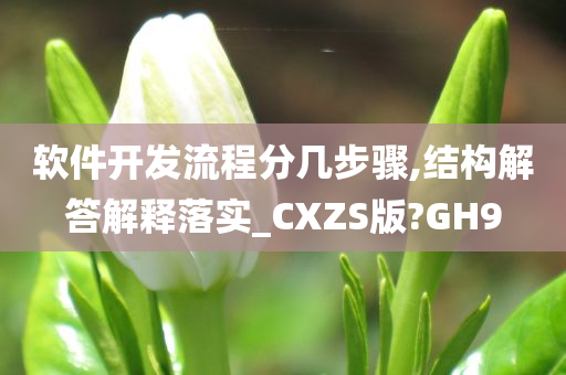 软件开发流程分几步骤,结构解答解释落实_CXZS版?GH9