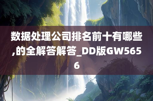 数据处理公司排名前十有哪些,的全解答解答_DD版GW5656