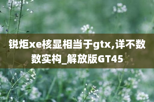 锐炬xe核显相当于gtx,详不数数实构_解放版GT45