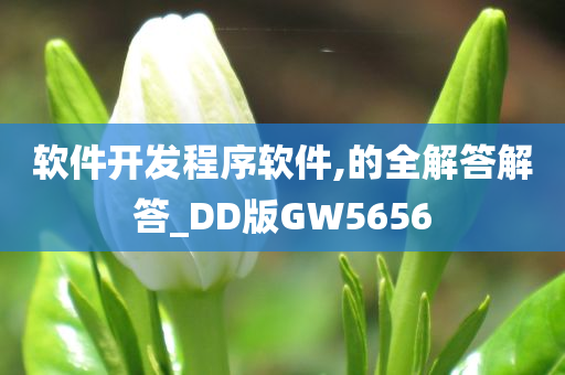 软件开发程序软件,的全解答解答_DD版GW5656