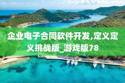 企业电子合同软件开发,定义定义挑战版_游戏版78