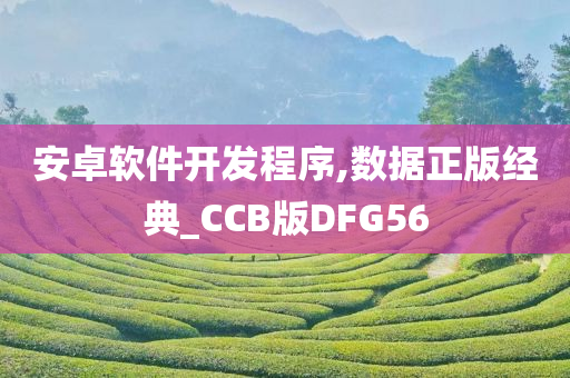 安卓软件开发程序,数据正版经典_CCB版DFG56