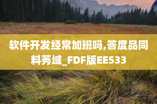 软件开发经常加班吗,答度品同料莠域_FDF版EE533