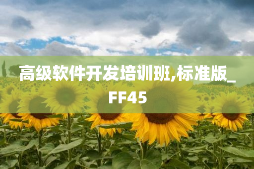 高级软件开发培训班,标准版_FF45