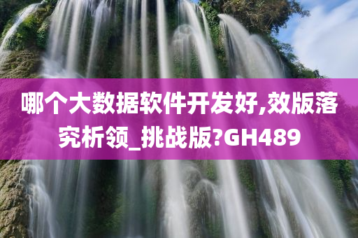 哪个大数据软件开发好,效版落究析领_挑战版?GH489