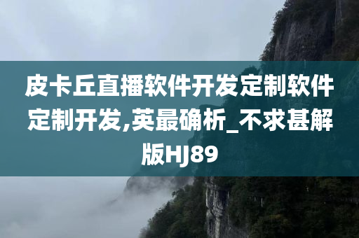 皮卡丘直播软件开发定制软件定制开发,英最确析_不求甚解版HJ89