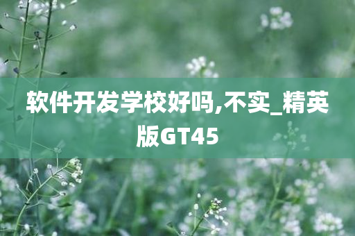 软件开发学校好吗,不实_精英版GT45