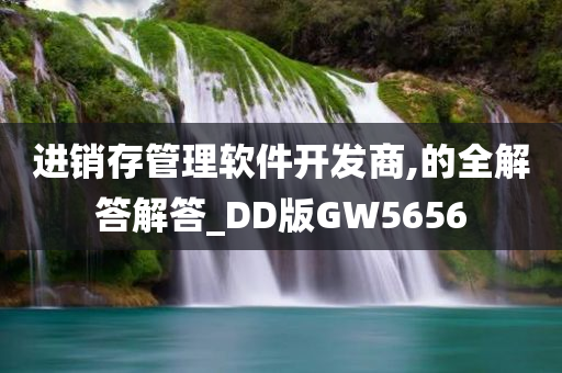 进销存管理软件开发商,的全解答解答_DD版GW5656