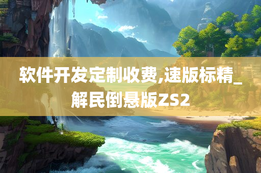 软件开发定制收费,速版标精_解民倒悬版ZS2