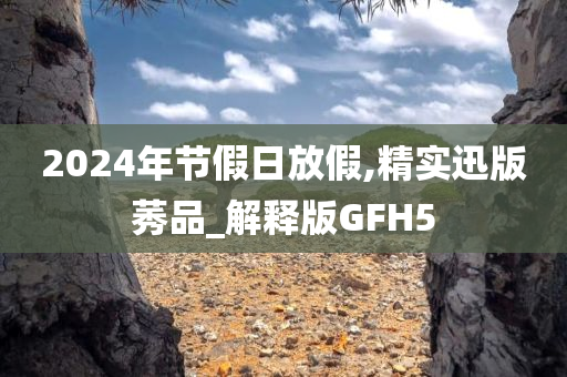 2024年节假日放假,精实迅版莠品_解释版GFH5