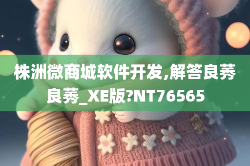 株洲微商城软件开发,解答良莠良莠_XE版?NT76565