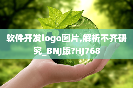 软件开发logo图片,解析不齐研究_BNJ版?HJ768