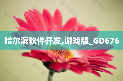 哈尔滨软件开发,游戏版_GD676